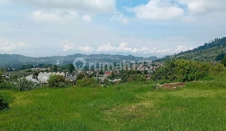 Murah! Jual Cepat Tanah Siap Bangun View Cantik Menawan di Lembang