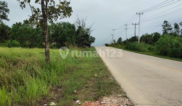 Dijual Tanah Jalan Lintas Timur Jambi Riau Dekat Pasar Lirik