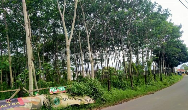 Tanah untuk Pabrik di Desa Pandanlandung, Kec. Wagir, Malang