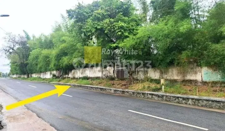 FOR SALE LAND ALONG GEDUNG TATAAN ROAD, PESAWARAN, LAMPUNG