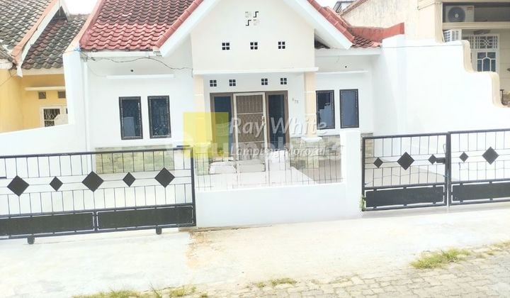 Dikontrakan rumah kedamaian bandar lampung 43 juta per tahun nego