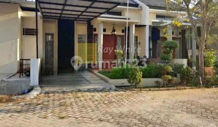 38 million per year negotiable, house for rent in Sukarame, Bandar Lampung, cluster complex area.