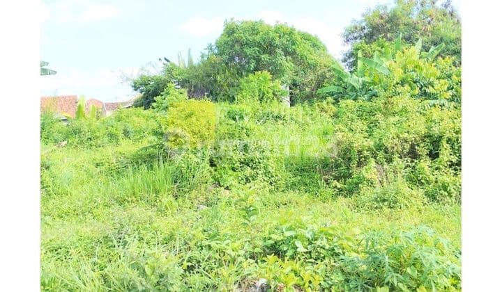 42 juta per tahun Disewakan Tanah korpri sukarame bandar lampung