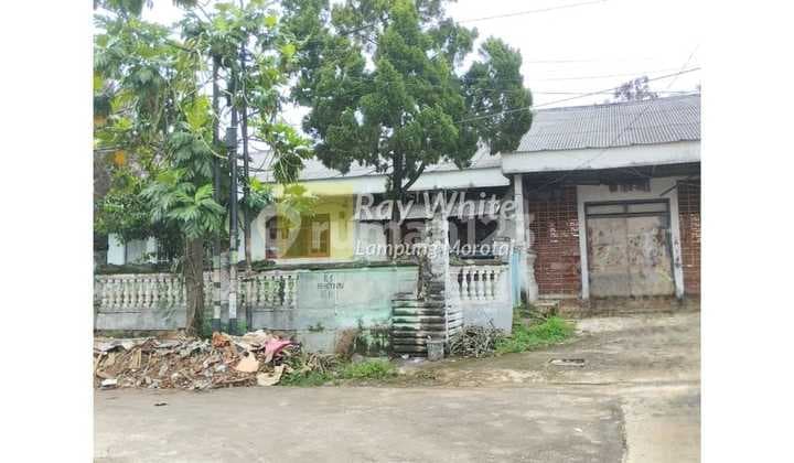 Dijual Tanah Bonus Bangunan Way Halim