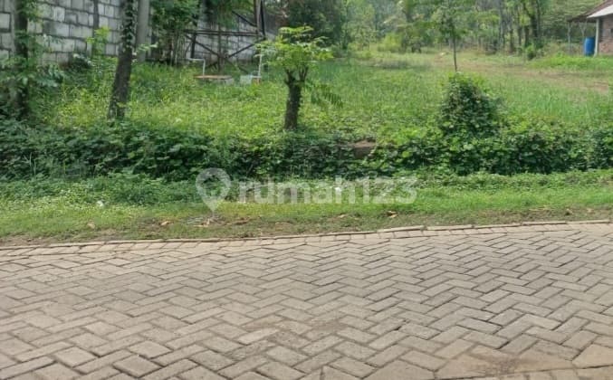 Tanah.di Punging - Mojokerto