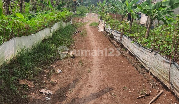 Bu Keras Cuma Rp 1.25jt/m Tnh 441m2 Bonus 60m2 Didekat Cibubur