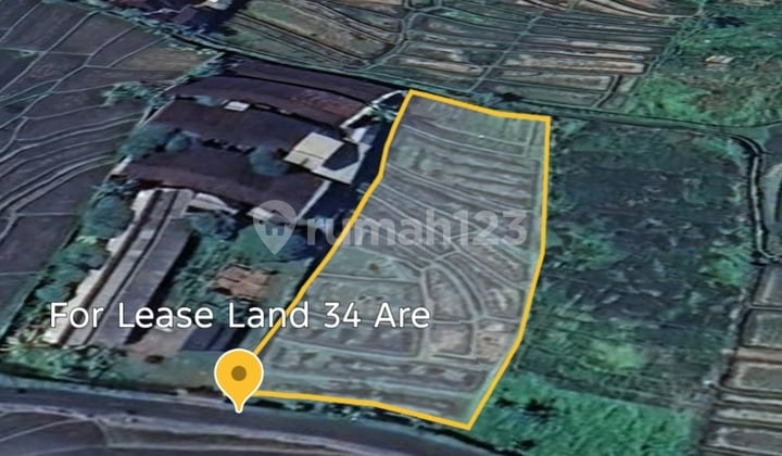 For Lease Dude, 34 Are Land With Ricefield View In Kaba-Kaba Yellow Zone, Perfect For Villas Or Office