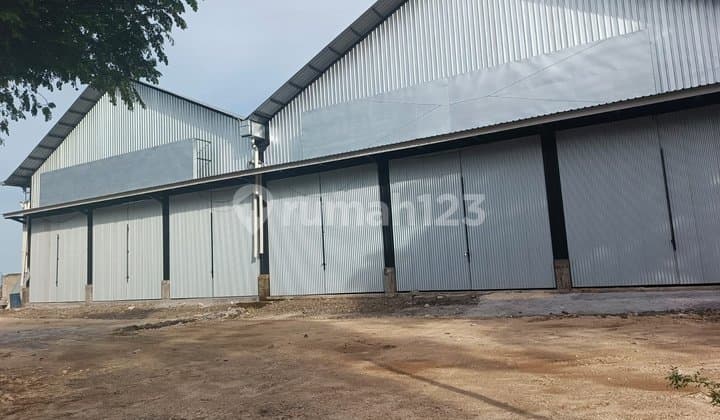 Warehouse 13 Are Ida Bagus Mantra Ketewel Gianyar Access for Tronton and Trailers Suitable for Cold Storage, Iron Warehouse, Cement Warehouse, Distribution Warehouse, Storage Warehouse, Transit Warehouse, Food and Beverage Warehouse, Shopee Warehouse, JNT Warehouse, JNE Warehouse
