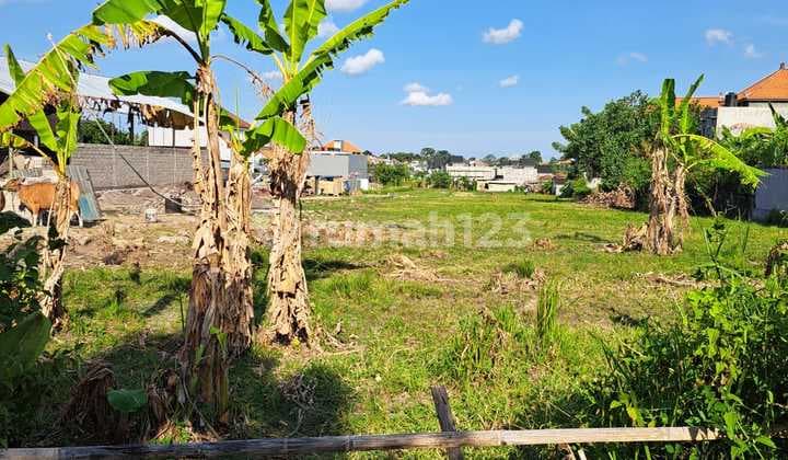 For Sale, Tanah Hook 10 Are di Buduk Munggu Kapal Cocok Kantor, Gudang Ekspedisi, Villa, Workshop