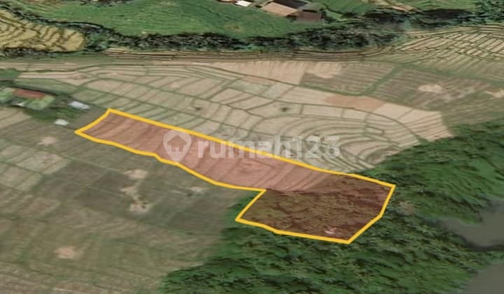 For Sale Riverside Near Luna Beach Bro, 28 Are Land Perfect For Resort, Villa Complex, Hotel