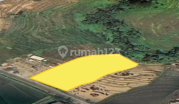 For Sale Dude, 25 Are Land In Babadan Perfect For Padel, Villa's Complex, Hotel