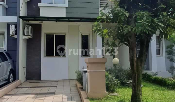 Gading Serpong Cluster Fluorite Sihuni