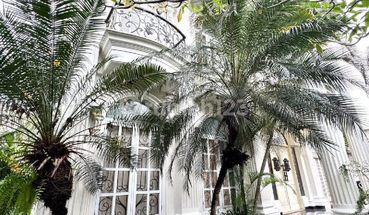 Disewakan Rumah Mewah Luas di Cipedak, Jagakarsa, Jakarta Selatan