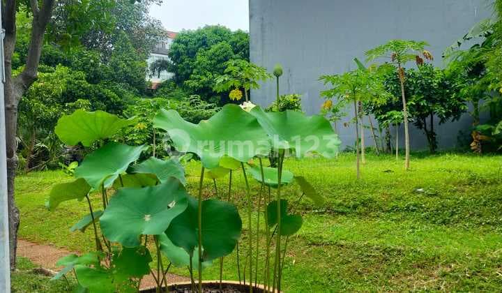 Dijual Tanah 726M² (22X33) Lotus Pantai Indah Pik, Jakarta Utara.