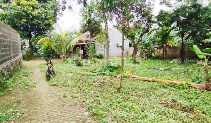 Dijual Tanah Kebun di Jalan Sanding Bukit Golf Cibubur