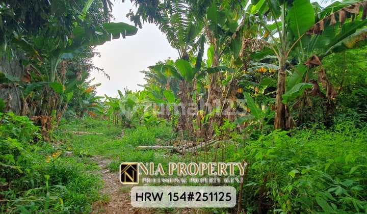 Dijual Kavling Tanah 1.234 M² Selangkah ke LRT Harjamukti, Cimanggis, Depok, Cibubur