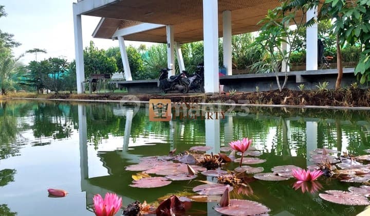 Murah Banget! Auto Cuan Dijual Villa Eks Wisata Tanah Luas Dekat Tol Soreang, Bandung, Modern Tropical Villa Concept - Resort Style Living Nuansa Alam Asri