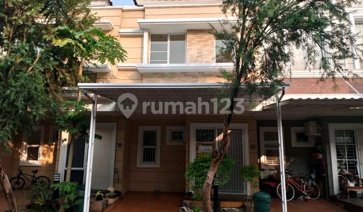 Disewakan Rumah Cluster Amarlilo Gading Serpong Lokasi Startegis Deket Sekolah & Kampus