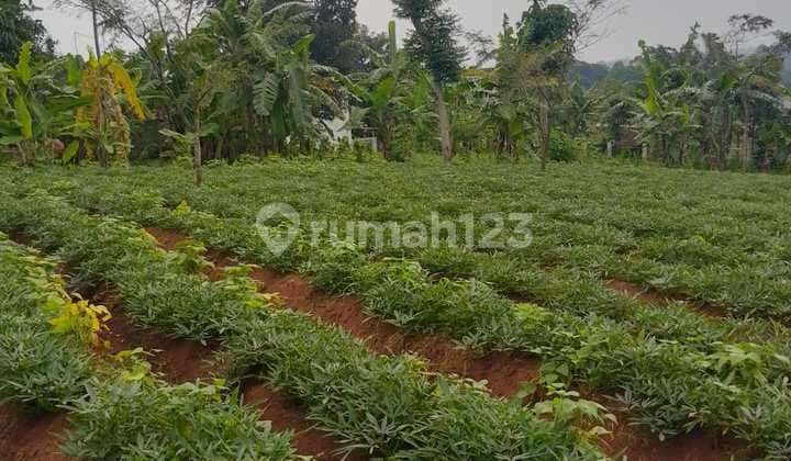 Land for Sale in Jatinangor, Car Access, Close to 4 Major Campuses.