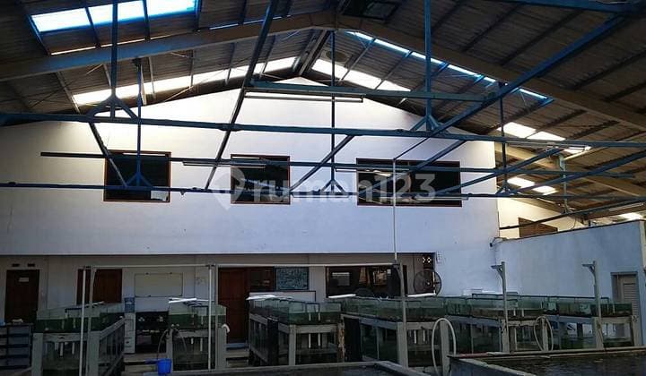 Di Jual Cepat Gudang Hitung Tanah Saja Di Kalideres 4000.0 m²