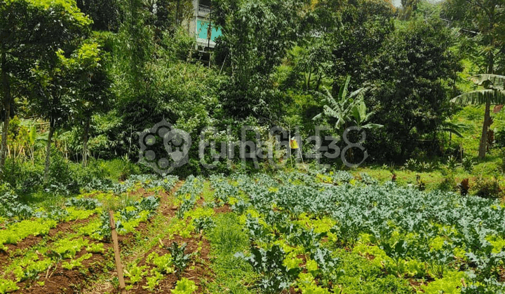 Dijual Tanah Seluas 700 m2 di Lembang, Bandung