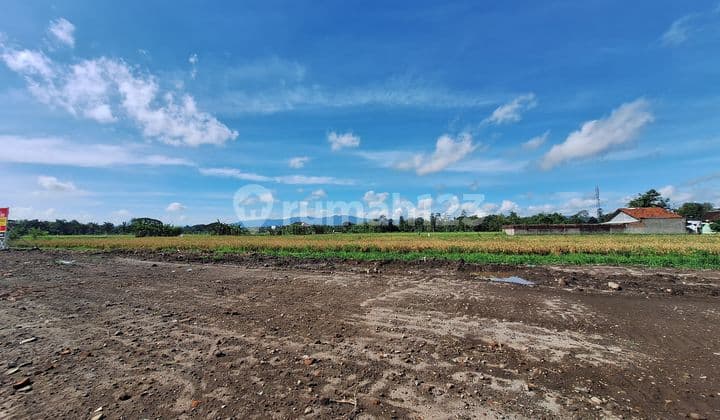 Tanah Strategis SHM Harga 253 Juta di Klaten