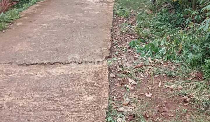 Dijual murah, Tanah kebun, siapa cepat dia dapat.