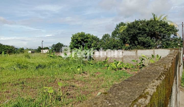 LAHAN KEBUN KOSONG DI CITAYAM