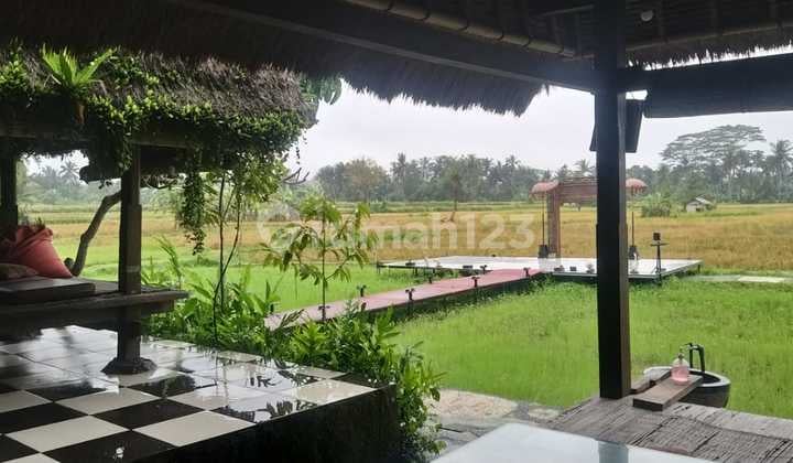 Resto Sawah Indah Ubud Strategis
