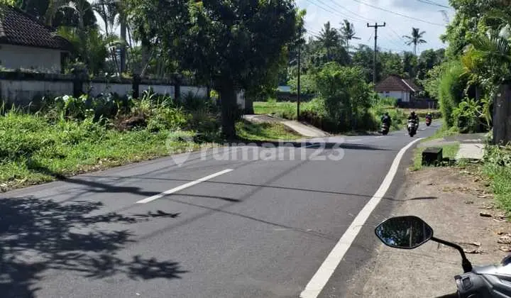Tanah Pejeng Kelod Ubud Few Sawah