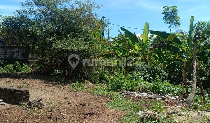 Jual Tanah, di Jimbaran,Buatkos bisa Bagus