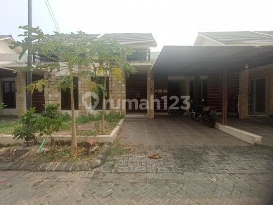Rumah Murah dan Bagus Dekat Rumah Sakit Bayt Al-Musaadah