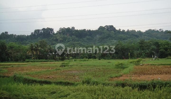 Jual Murah Tanah Rumpin Bohor 150rb/mtr Nego