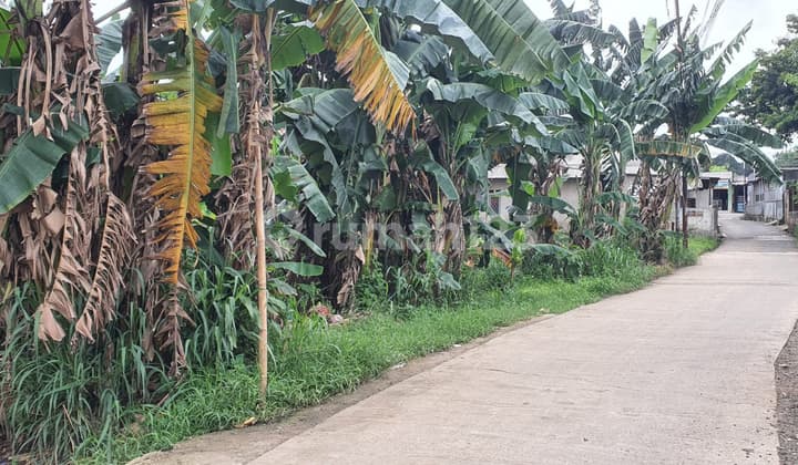 Dijual Kavling Murah Rawa Kalong Gunung Sindur Kab Bogor