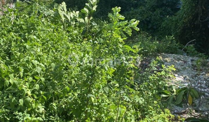 Tanah Shm Lokasi Premium – Sunset Road Kuta Dekat Pusat Bisnis