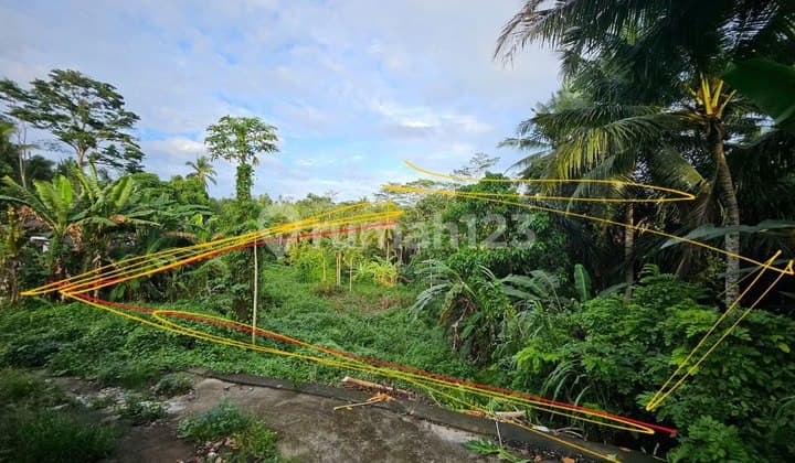 Tanah Di Daerah Mengwi Cocok Untuk Kaplingan Dengan Wilayah Yang Tenang Dan Masih Di Pedesaan