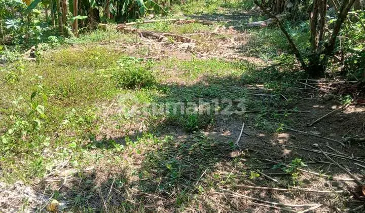 Tanah Strategis di Jln Pantai Saba