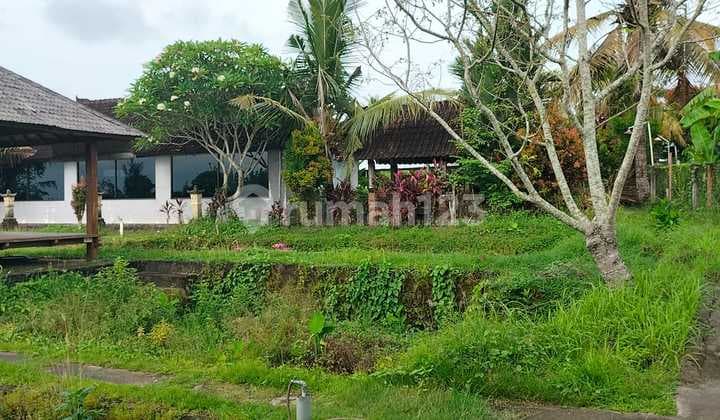 Tanah Kemenuh Tengkulak Ubud