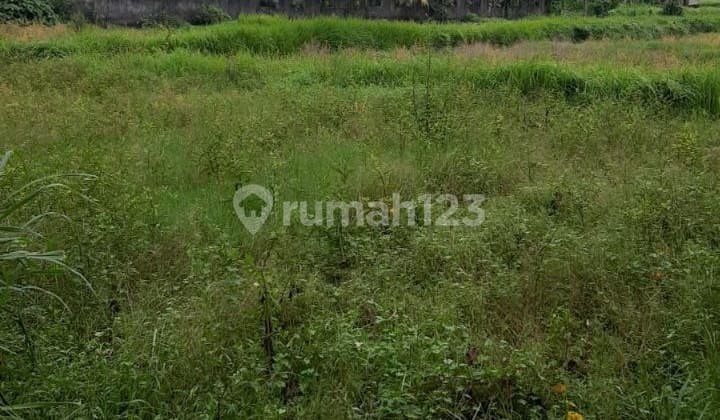 Tanah Di Tempat Strategis Di Tengkulak Kelod Ubud Gianyar