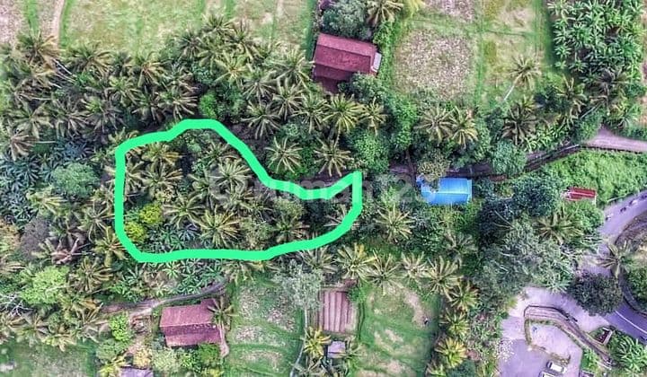 Lahan Strategis Ubud Peliatan