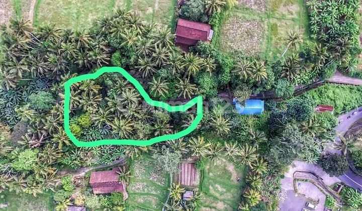 Lahan Strategis Ubud Peliatan