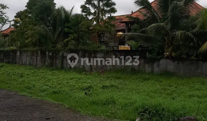 Tanah Tengkulak Kelod Ubud
