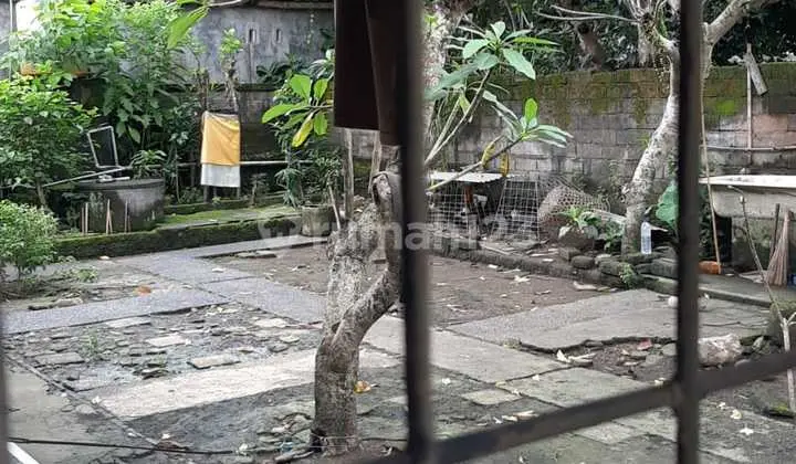 Strategic Shop House for Long-Term Rent in Ubud