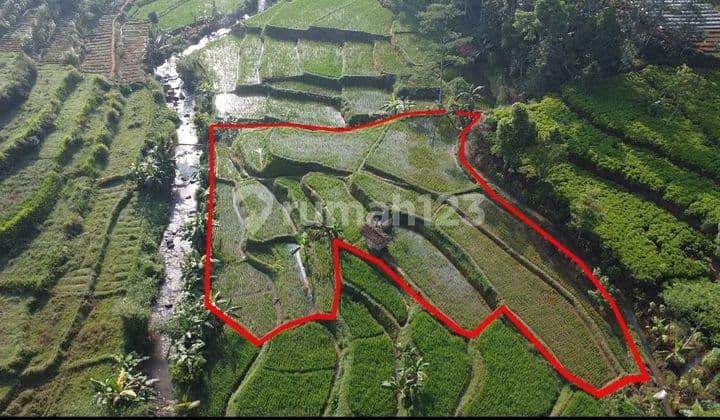 Dijual Murah Tanah Sawah Pinggir Sungai di Darangdan Purwakarrta