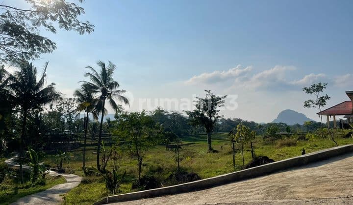 Jual Murah Tanah Darat dan Sawah Ada Air Mengalir di Tanjungkerta Sumedang