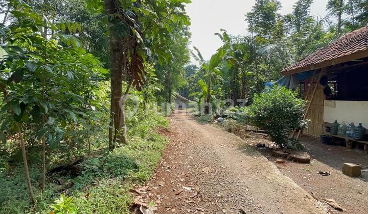 Jual Tanah Kebun Datar Akses Mobil di Darmaraja Sumedang