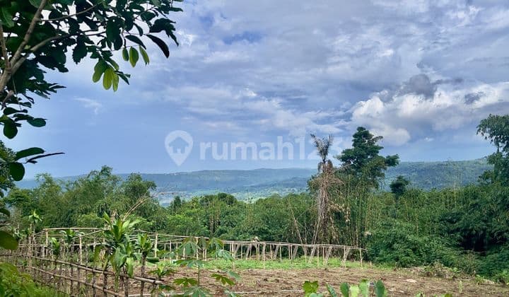 Jual Tanah Kebun 2183 m2 Daerah Kampung Udara Sejuk Bojong Purwakarta