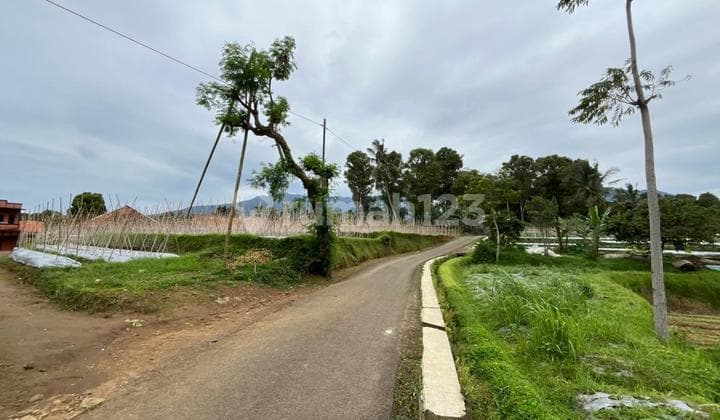 Jual Tanah Ladang dan Kebun Pemandangan Bagus Udara Dingin Bojong Purwakarta