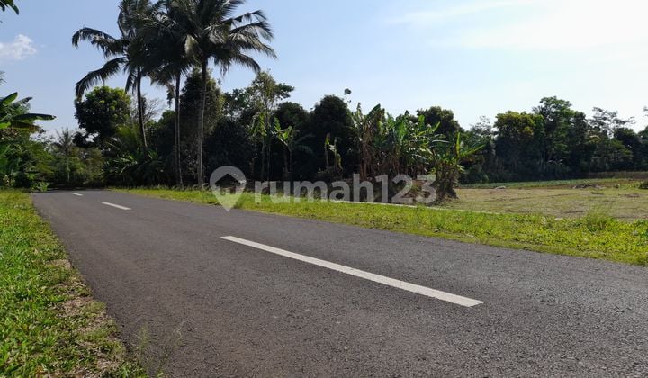 Dijual Tanah Kebun dan Sawah Pinggir Jalan di Pedesaan Purwakarta