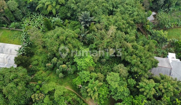 Dijual Tanah Kebun Durian Cengkeh Aren di Kiarapedes Purwakarta